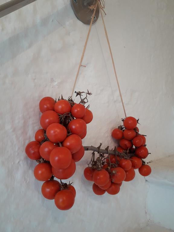 Bed and Breakfast Biancadamare Ostuni Exterior foto